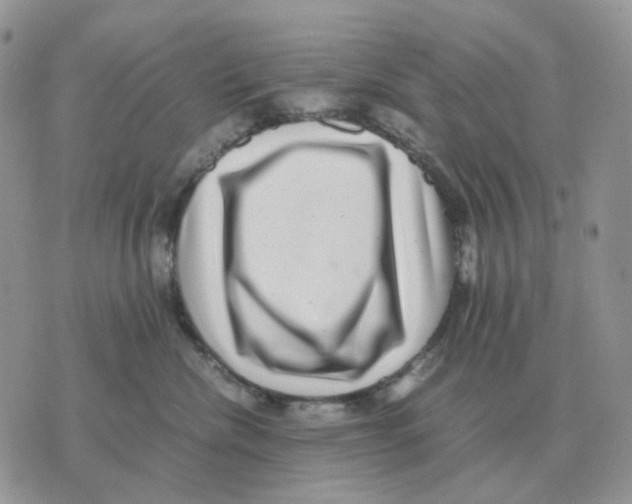 X0000070370476200607072133