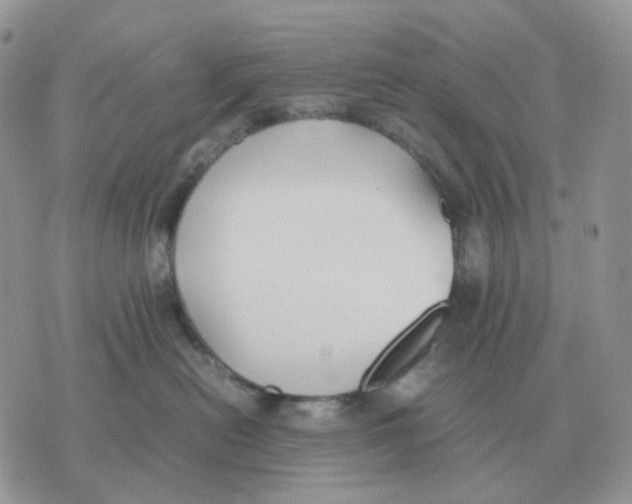 X0000070370478200607072133