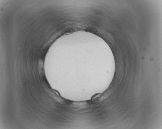 X0000070370480200607072133