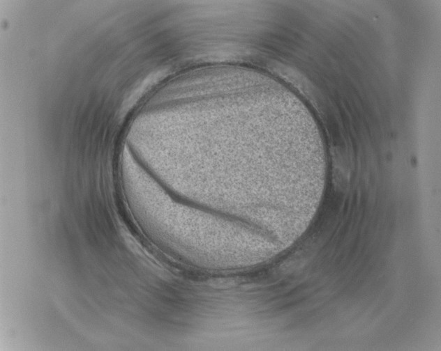 X0000070370482200607072132