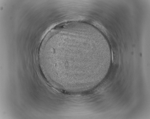 X0000070370483200607072132