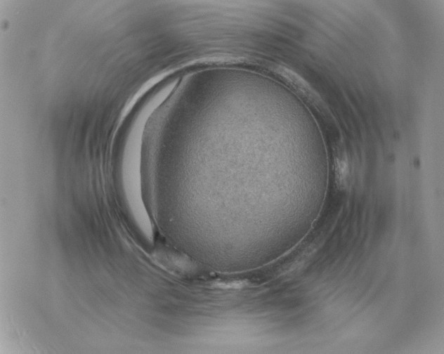 X0000070370484200607072132