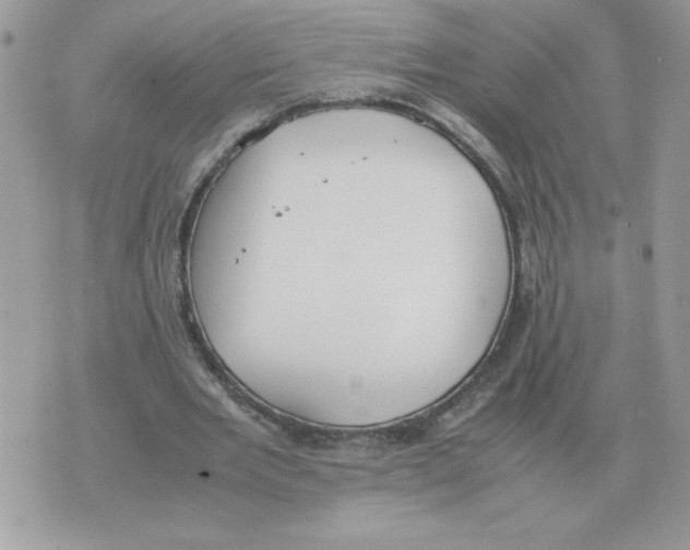 X0000070370485200607072132