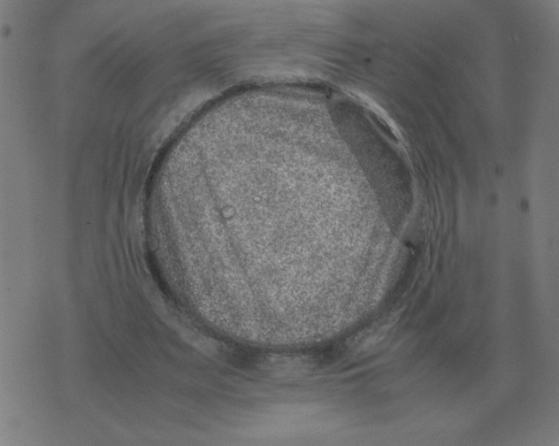 X0000070370487200607072132