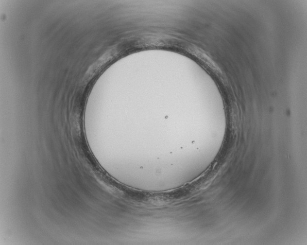 X0000070370489200607072132