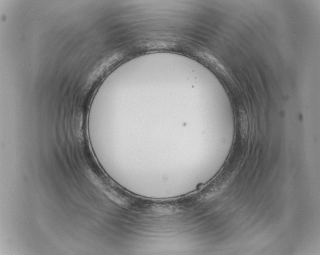 X0000070370490200607072132