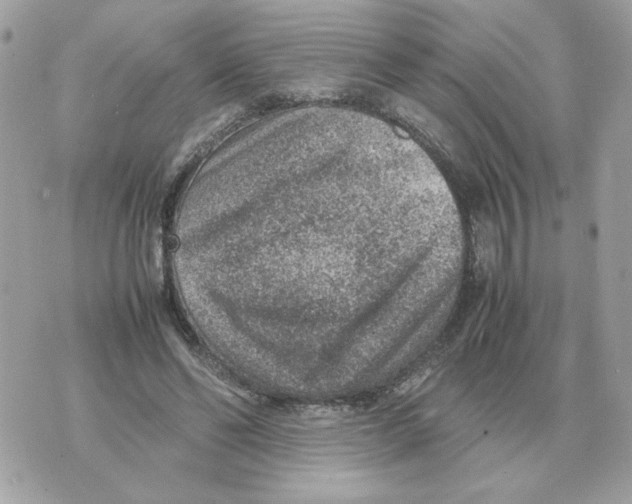 X0000070370494200607072132