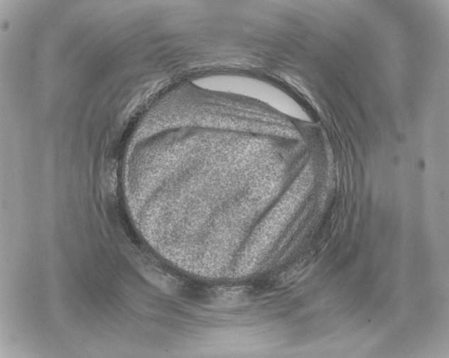 X0000070370495200607072132