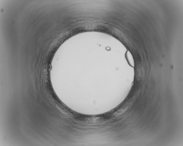 X0000070370497200607072132