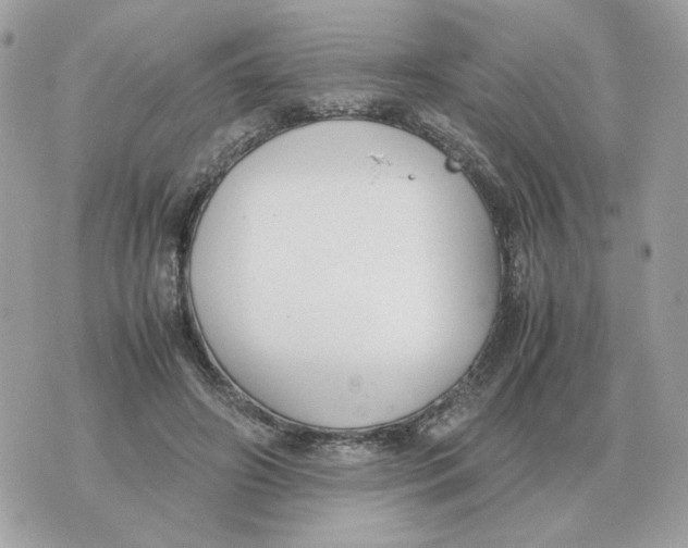 X0000070370498200607072132