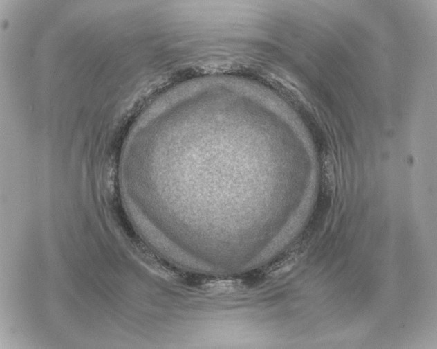 X0000070370499200607072132