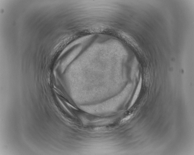 X0000070370501200607072132