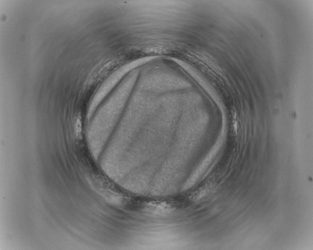 X0000070370502200607072132