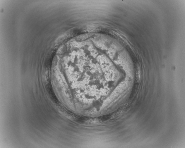 X0000070370503200607072132