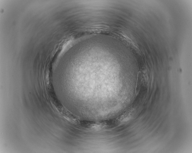 X0000070370504200607072132