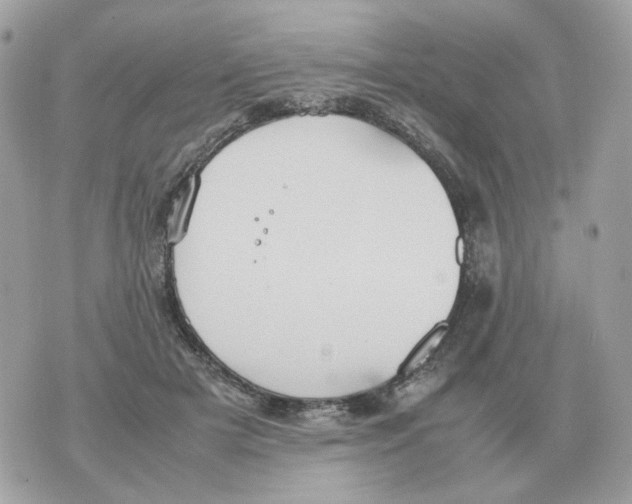 X0000070370505200607072132