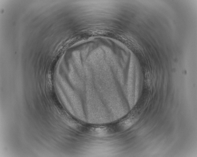 X0000070370506200607072132