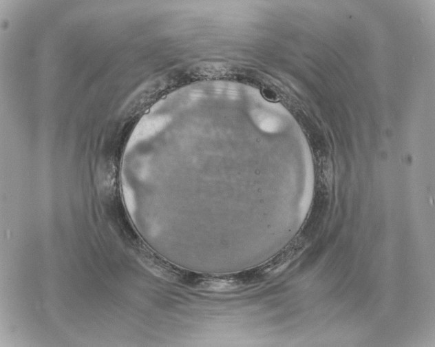 X0000070370507200607072132