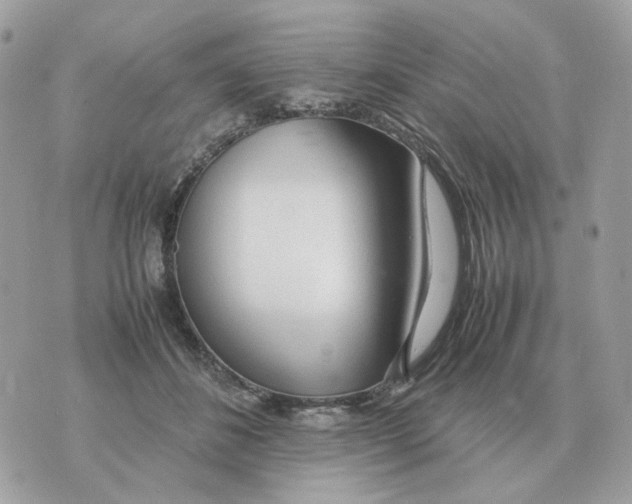 X0000070370508200607072132