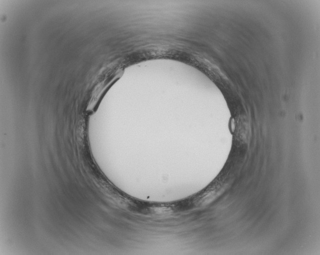 X0000070370509200607072132