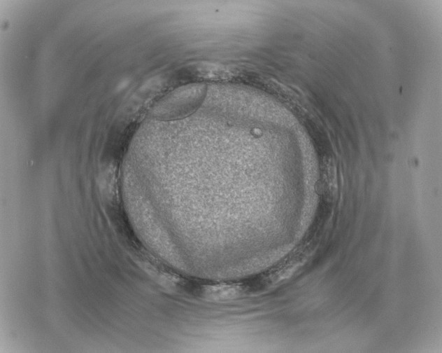 X0000070370511200607072132