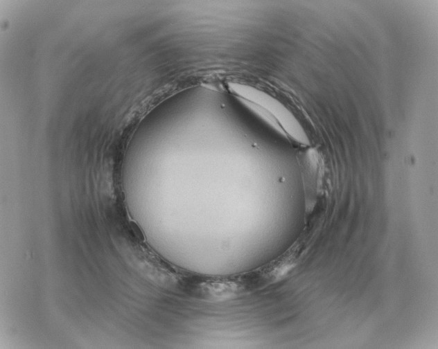 X0000070370512200607072132