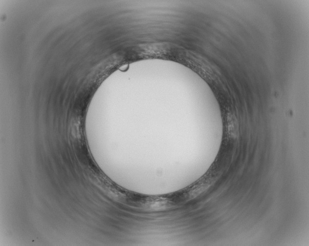 X0000070370514200607072132