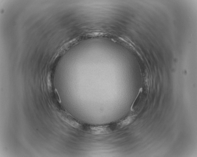 X0000070370516200607072132