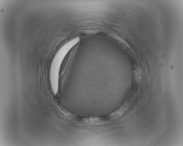 X0000070370517200607072132