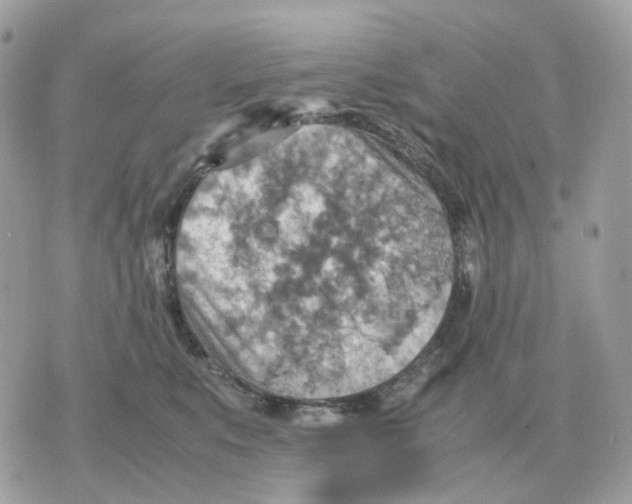 X0000070370519200607072132