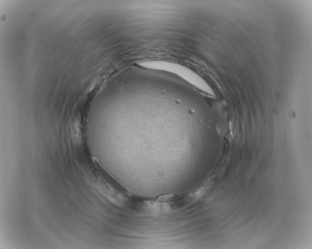 X0000070370520200607072132