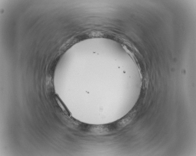 X0000070370521200607072132