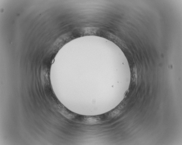 X0000070370522200607072131