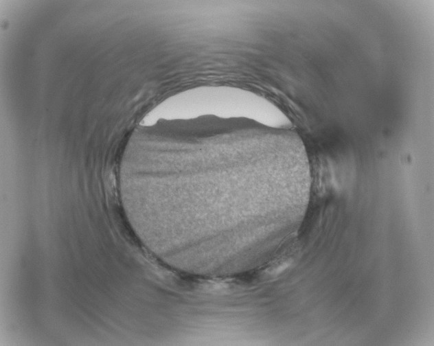 X0000070370523200607072131