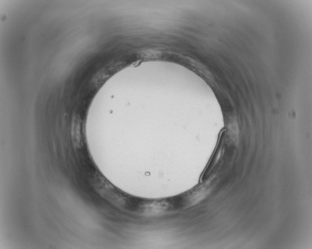 X0000070370525200607072131