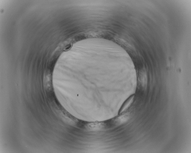 X0000070370526200607072131