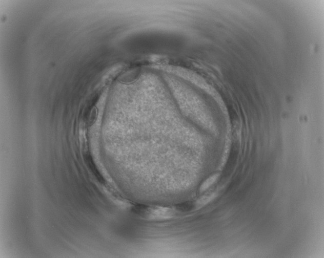 X0000070370527200607072131