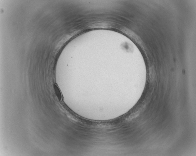 X0000070370529200607072131