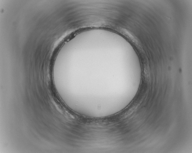 X0000070370532200607072131