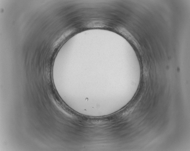 X0000070370533200607072131