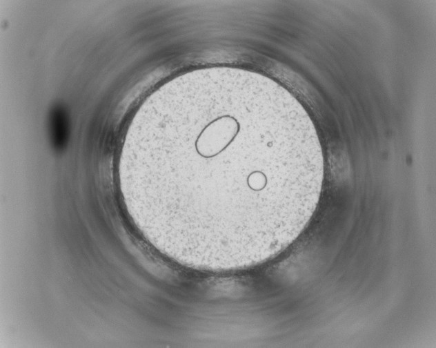 X0000070370534200607072131