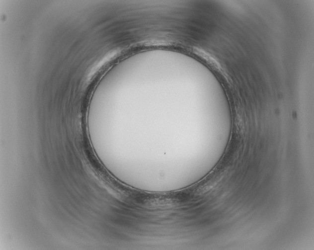 X0000070370535200607072131