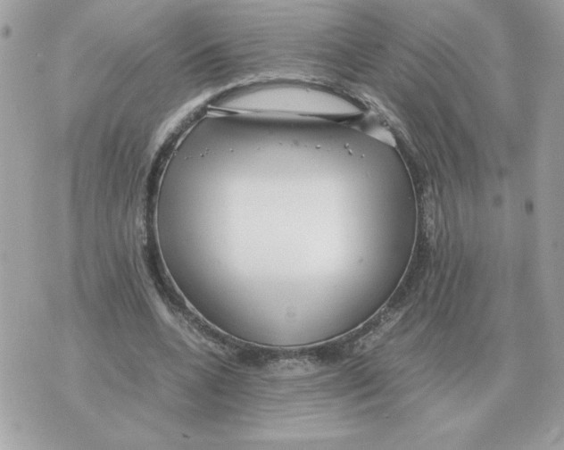 X0000070370536200607072131