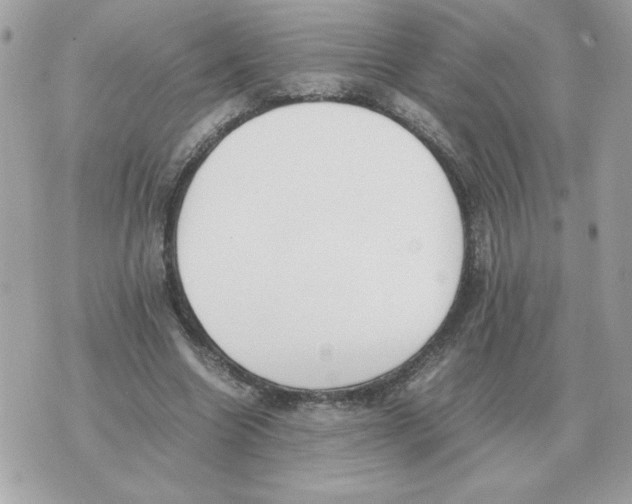 X0000070370538200607072131