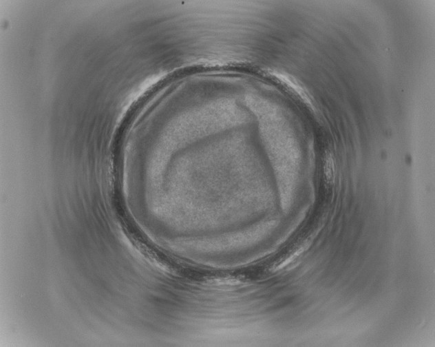 X0000070370540200607072131