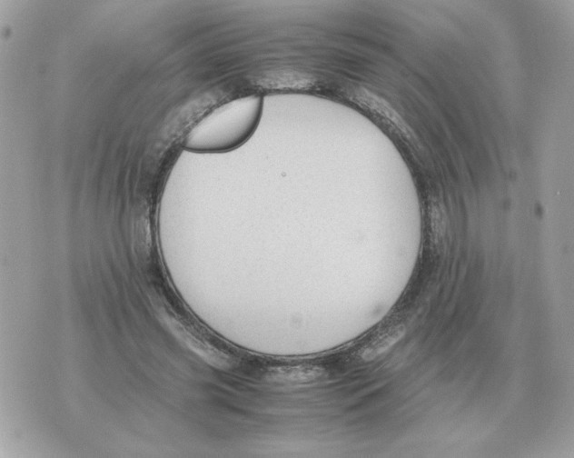 X0000070370541200607072131