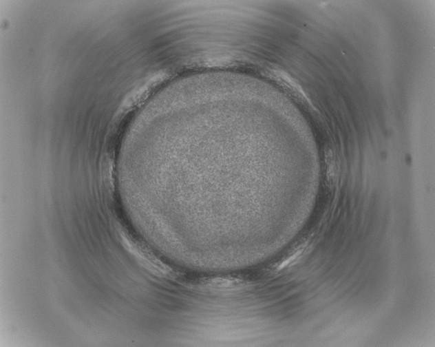 X0000070370542200607072131