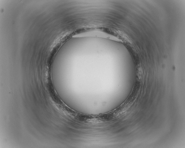 X0000070370544200607072131