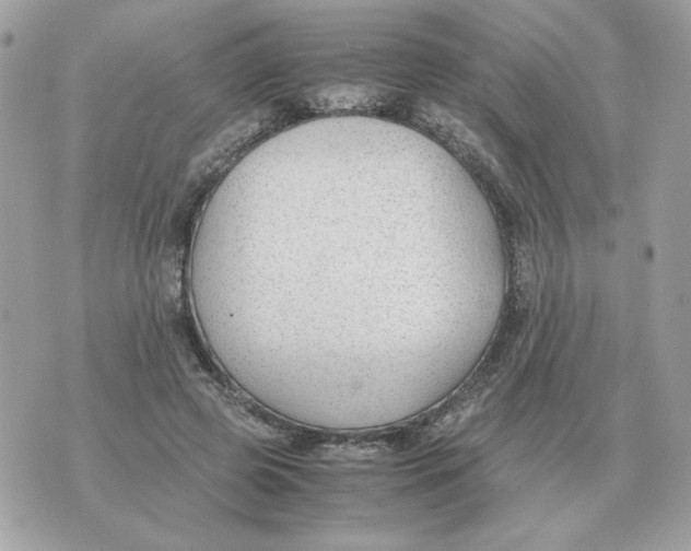 X0000070370545200607072131