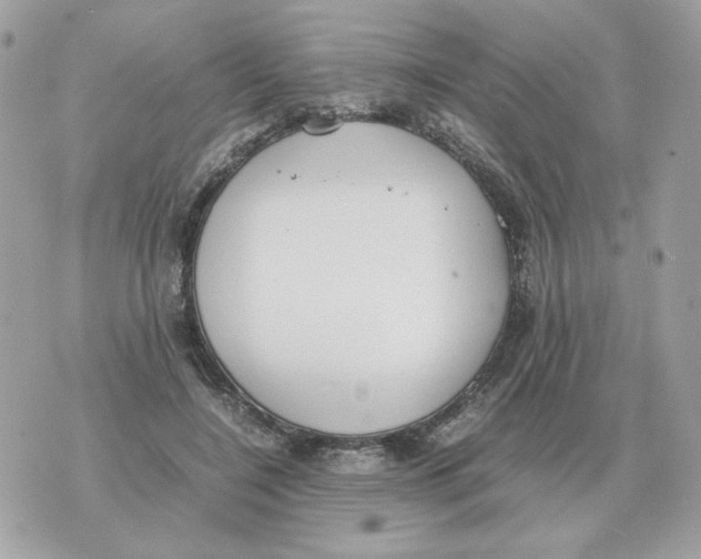 X0000070370548200607072131